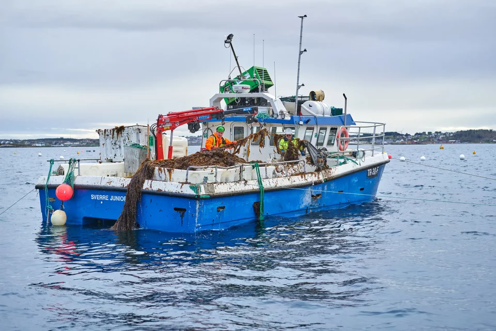 Boot welches zum Ernten von Algen genutzt wird